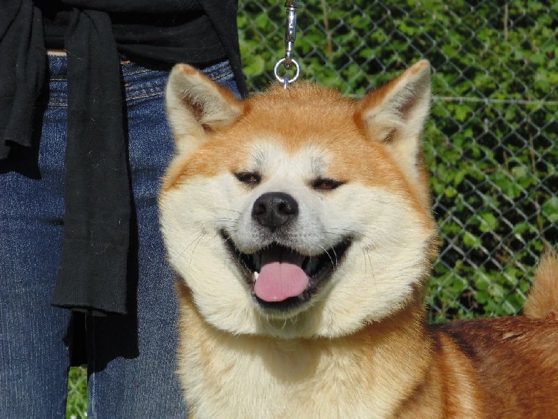 Hanae no momiji de la Pluie de Loups