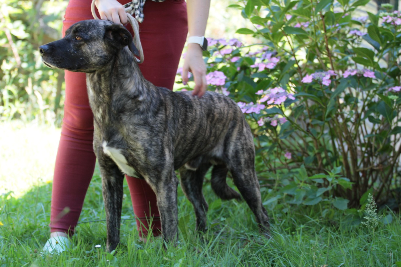 Kick in your ass dos fluidos do vulcao